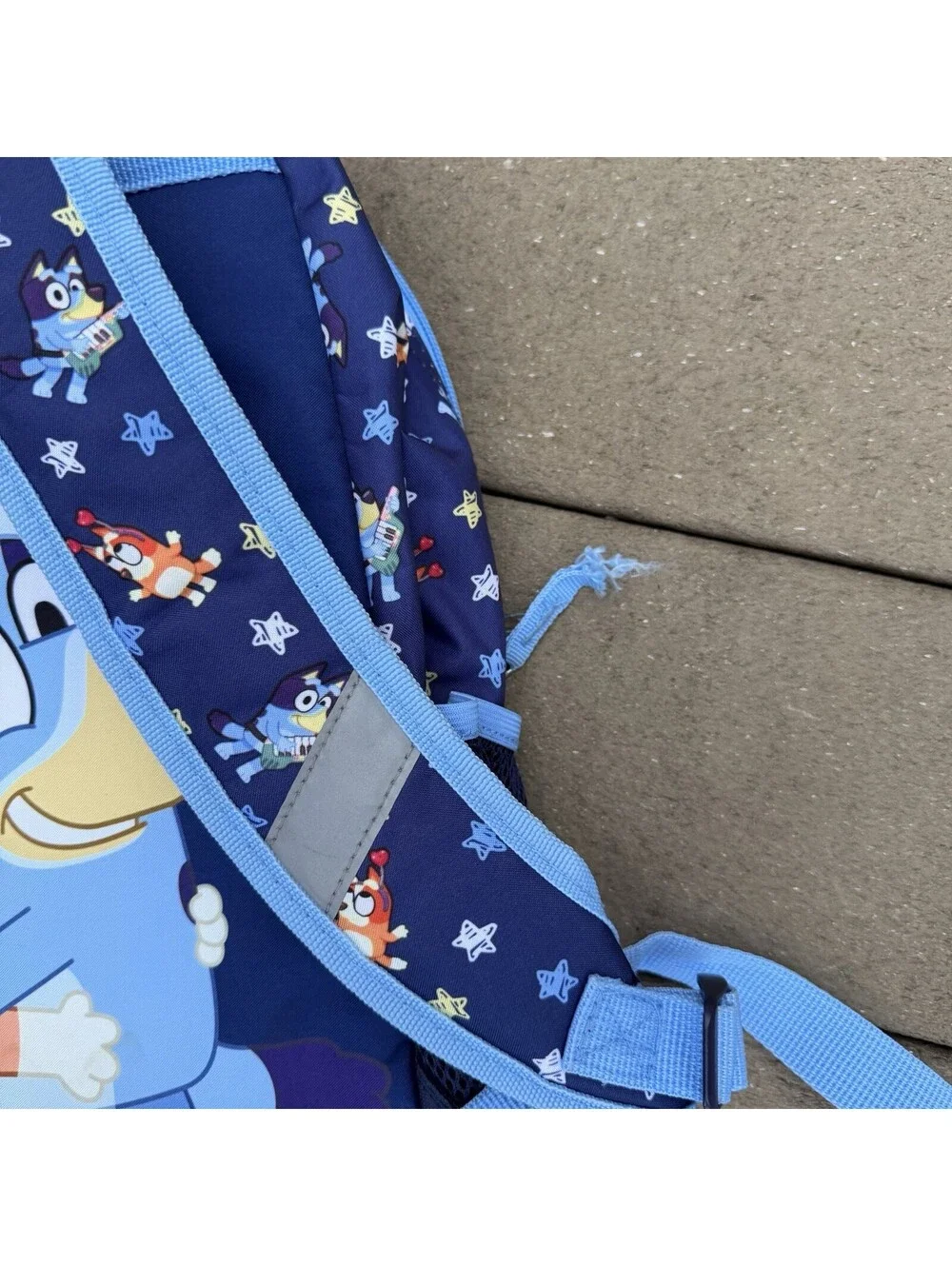 Bluey Backpack Book Bag 17” Kids School Senior Year Character Backpack Blue
